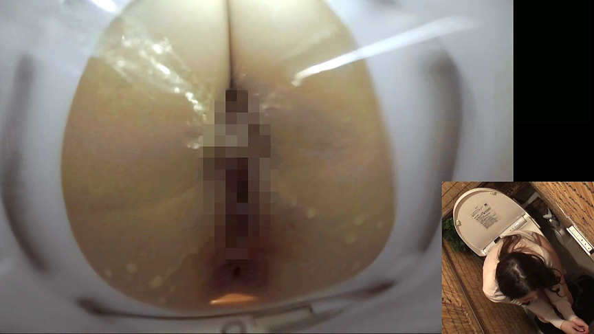 「【素人】女子トイレで密かに楽しむ秘密のオナニー40人【自慰・盗撮風】プライベート絶頂映像集」のサンプル画像11枚目