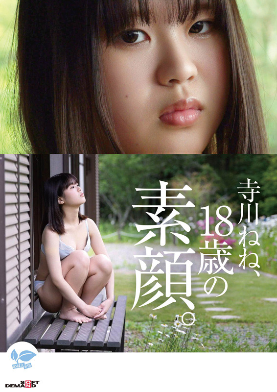 「【寺川ねね】18歳ミニマム美少女のAVデビュー作品|純真な瞳の新人女優が魅せる初々しい姿」のサンプル画像7枚目