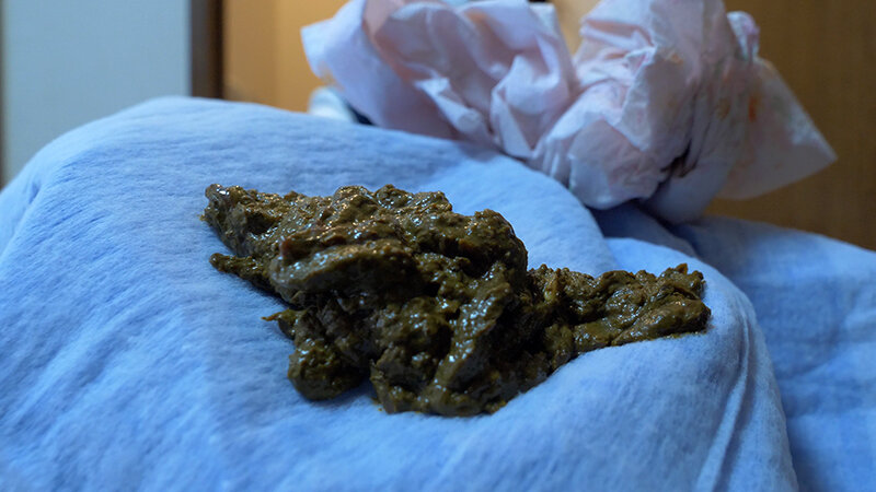 「三浦はな｜脱糞・放尿プレイ動画｜お漏らし好き必見のスカトロAV作品」のサンプル画像11枚目