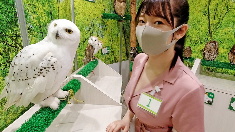 「【巨乳コスプレ】Gカップ美女のパイズリ＆ハメ撮り中出しSEX！四つん這いで激しく交わる20歳」のサンプル画像1枚目